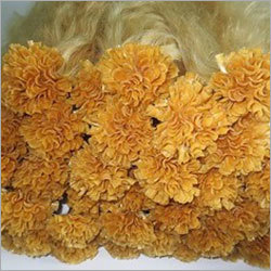 Light Golden U Tip Hair Extensions