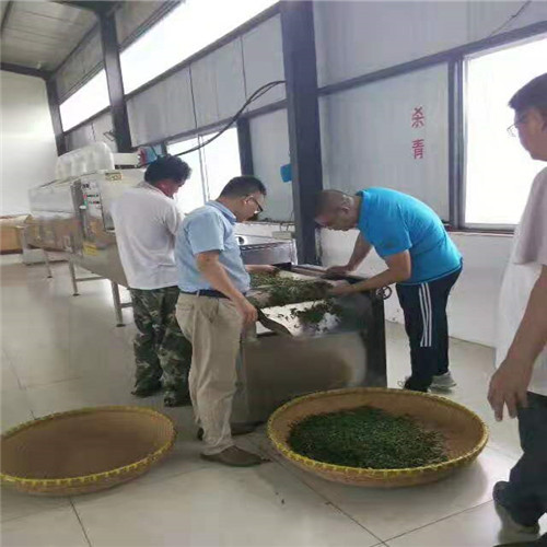 Green Tea Drying Fixation Machine