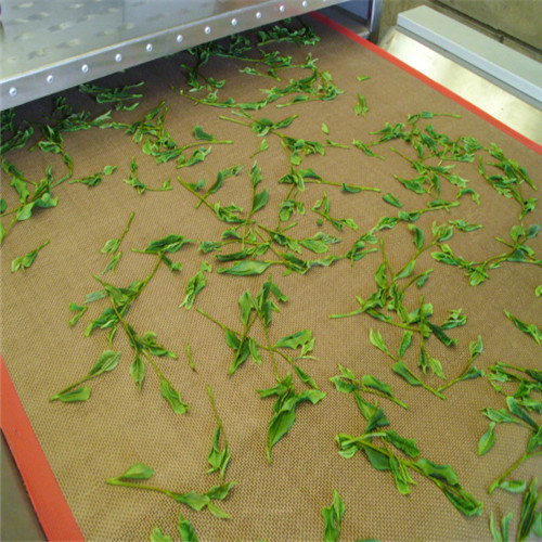 Green Tea Drying Fixation Machine
