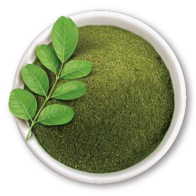 Moringa Leaf Age Group: For Adults