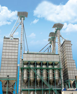 Steel Parboiled Plant