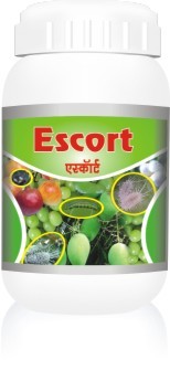 एस्कॉर्ट