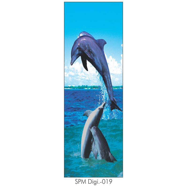 Digital Spm Door - Color: Blue