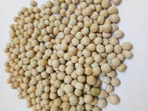 उड़द दाल