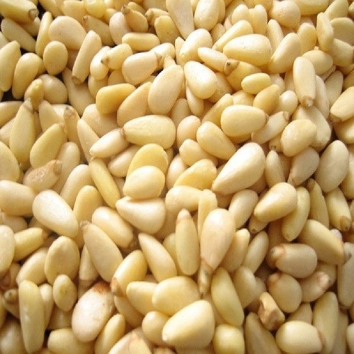 पाइन नट्स