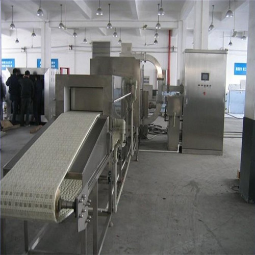 Commercial Meat Defrosting Machine