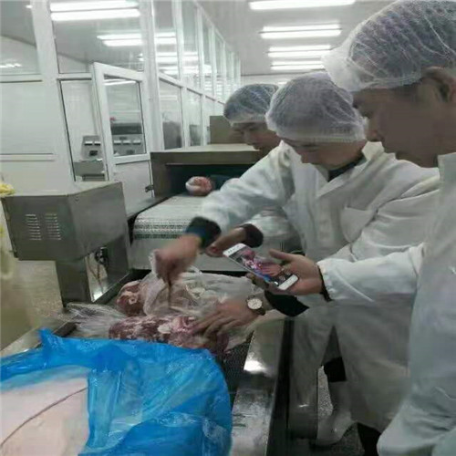 Microwave Frozen Chicken Beef Defrosting Machine