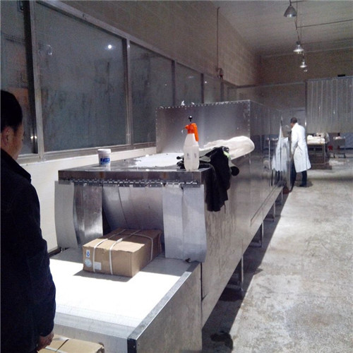 Microwave Frozen Chicken Beef Defrosting Machine