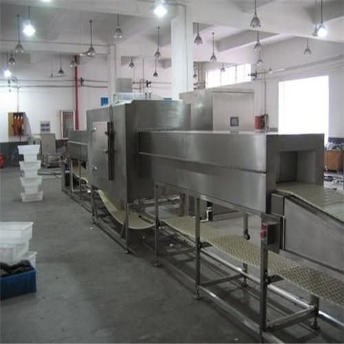 Microwave Frozen Chicken Beef Defrosting Machine