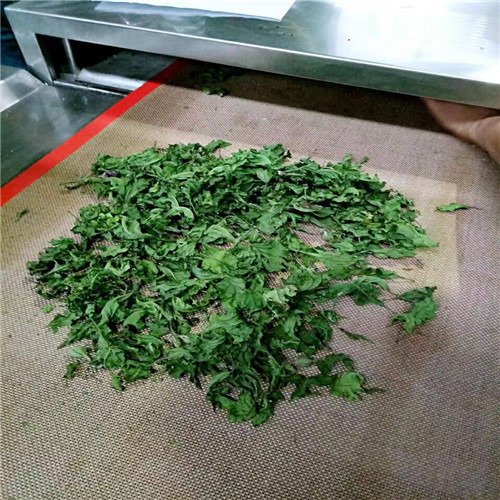 Belt Type Microwave Tea Fixation Machine