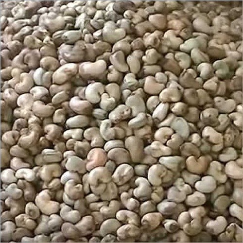 ताजा कच्चे काजू