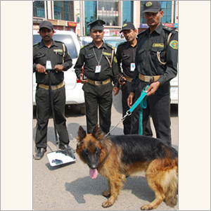 Home Security Guard Uniform