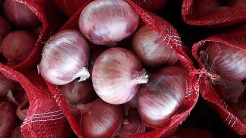 Garva Pink Onions