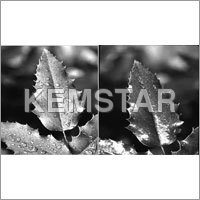 Super Wetting Adjuvant - Application: Industrial