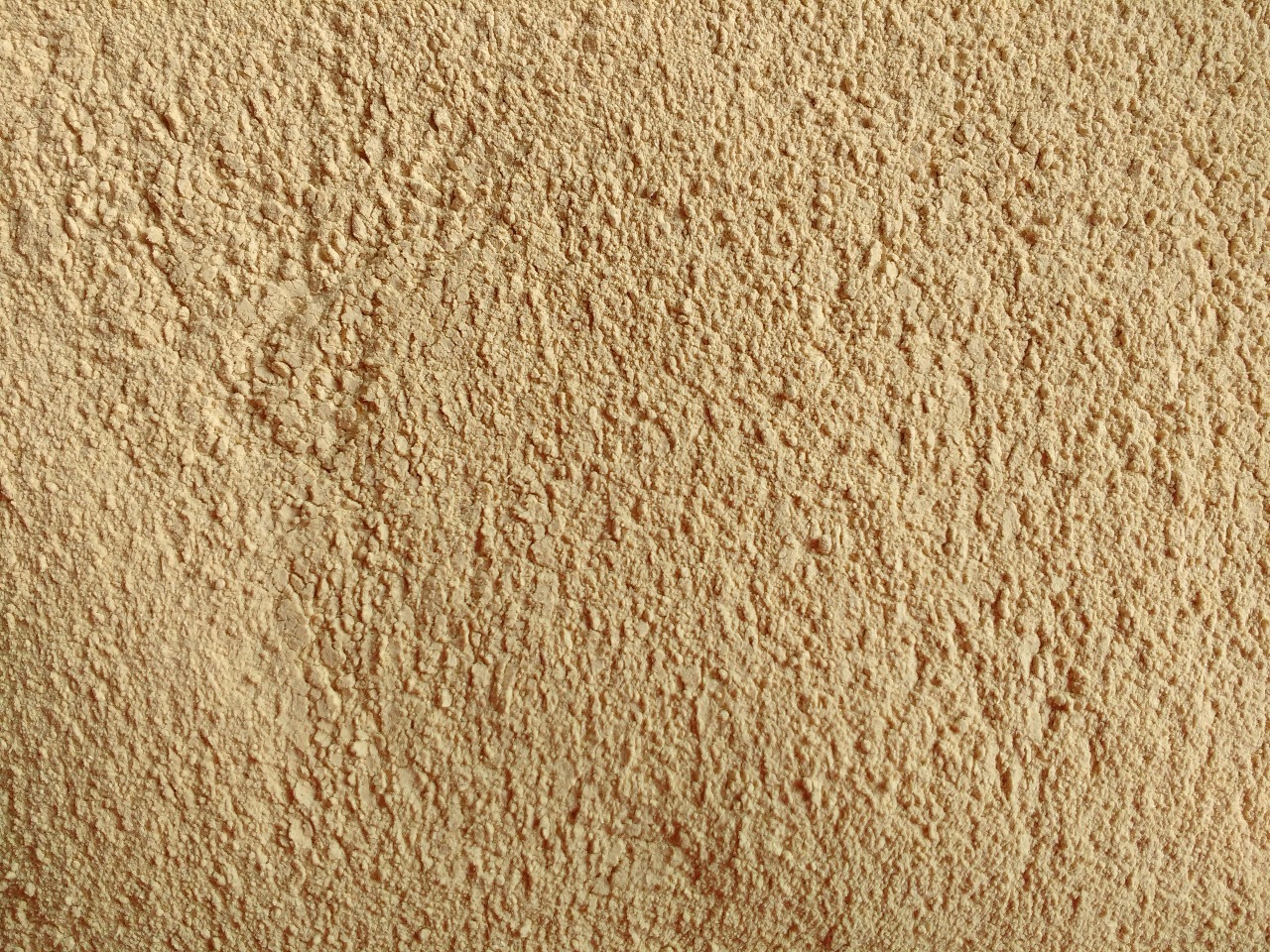 Dehydrated Garlic Powder - Dehydrated, Dried Powder, Garlic Flavoring For Seasoning | Quality Assured, Shelf Life 2 Years, Multiple Sizes Available
