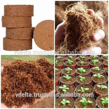Solid Coco Peat