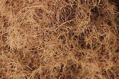 Solid Coconut Fiber - Bale Packing