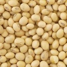 Soybean Origin: Brazil