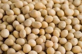 Soybean Origin: Brazil