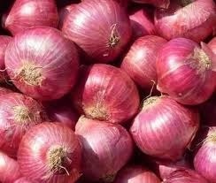 Normal Onion