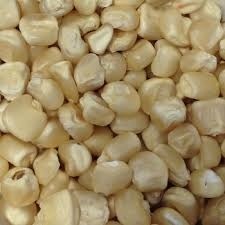 White Maize - Dried Grains, Solid Texture, Free From Bacteria And Fungal Diseases, Ideal For Animal Feed