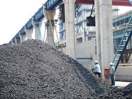 Pet Coke