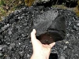 Bituminous Coal
