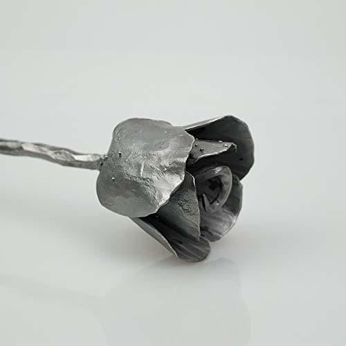 Black Tulips Flowers