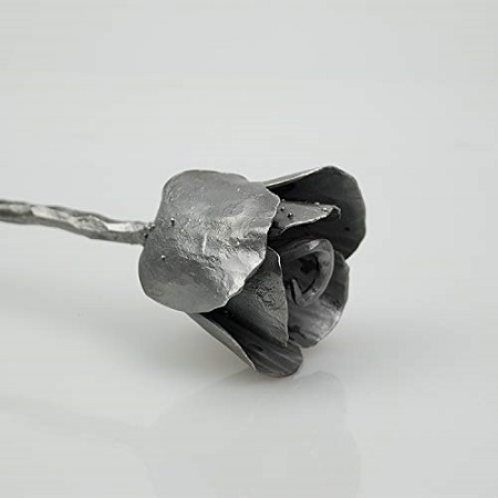 Black Forever Tulip