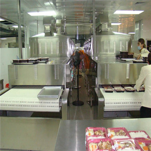 Continuous Microwave Ready Meal Heating Machine
