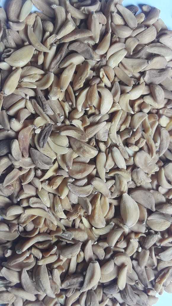 Dehydrated Brown Garlic Flakes - A Grade Quality, 2-year Shelf Life, Dried Raw Flakes, Food Dehydrator Processed, Normal Taste, Brown Color