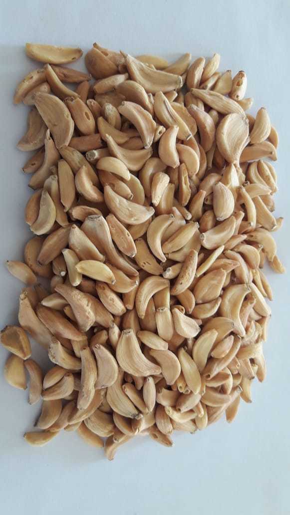 Dehydrated Brown Garlic Flakes - A Grade Quality, 2-year Shelf Life, Dried Raw Flakes, Food Dehydrator Processed, Normal Taste, Brown Color