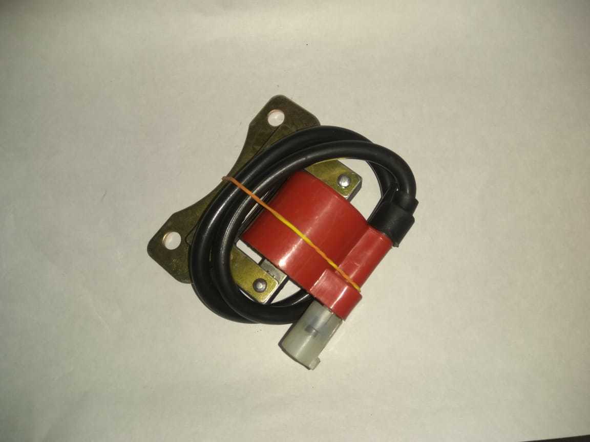 Cng Two Stroke Ignition Coil - High-performance Ignition System For Cng 2 Stroke Two-wheelers | 6-month Warranty, Ideal For Automobile Industry