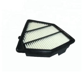 Shown Competitive Price Air Conditioning 17220-r5z-g01 Carairfilter