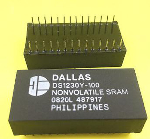 DS1230Y-100