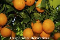 डायोस्मिन हेस्परिडिन