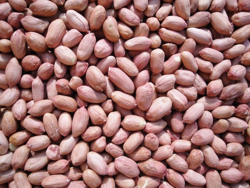 Organic Peanuts - Dried, Grade A,b,c, Moisture 7.5% | Nutrient-dense, Promotes Healthy Weight Loss, Boosts Memory And Skin Health