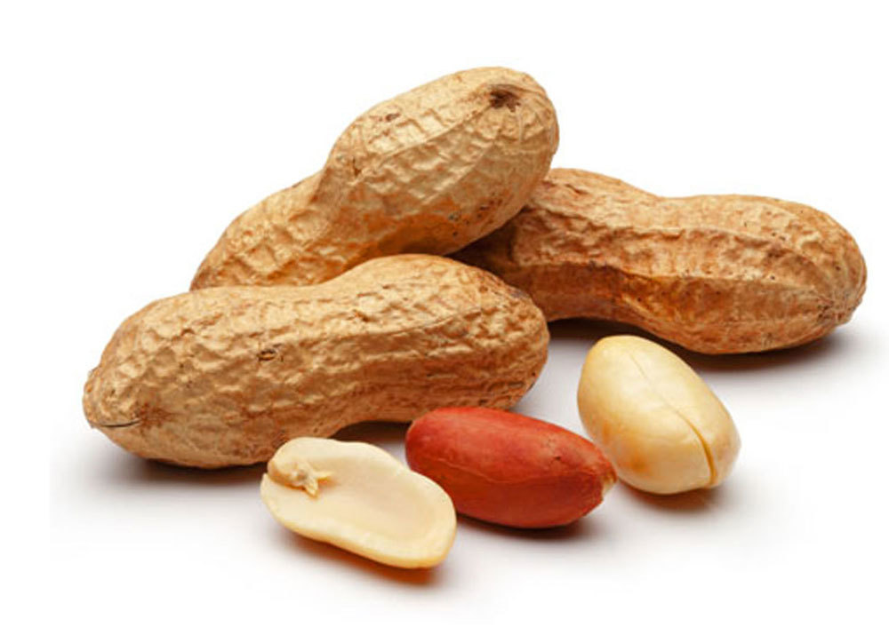 Organic Peanuts - Dried, Grade A,b,c, Moisture 7.5% | Nutrient-dense, Promotes Healthy Weight Loss, Boosts Memory And Skin Health