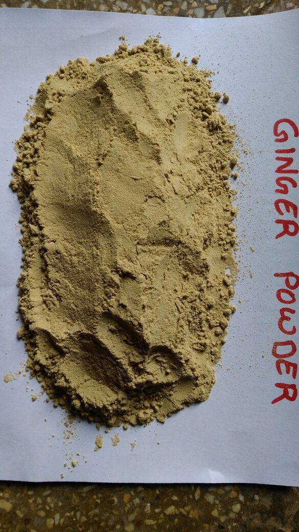 Dehydrated Ginger Powder - A Grade, 2 Years Shelf Life | Dried Raw Vegetable, Assured Trust Seal Certified, Normal Taste, 2-year Maturity