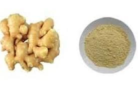 Dehydrated Ginger Powder - A Grade, 2 Years Shelf Life | Dried Raw Vegetable, Assured Trust Seal Certified, Normal Taste, 2-year Maturity