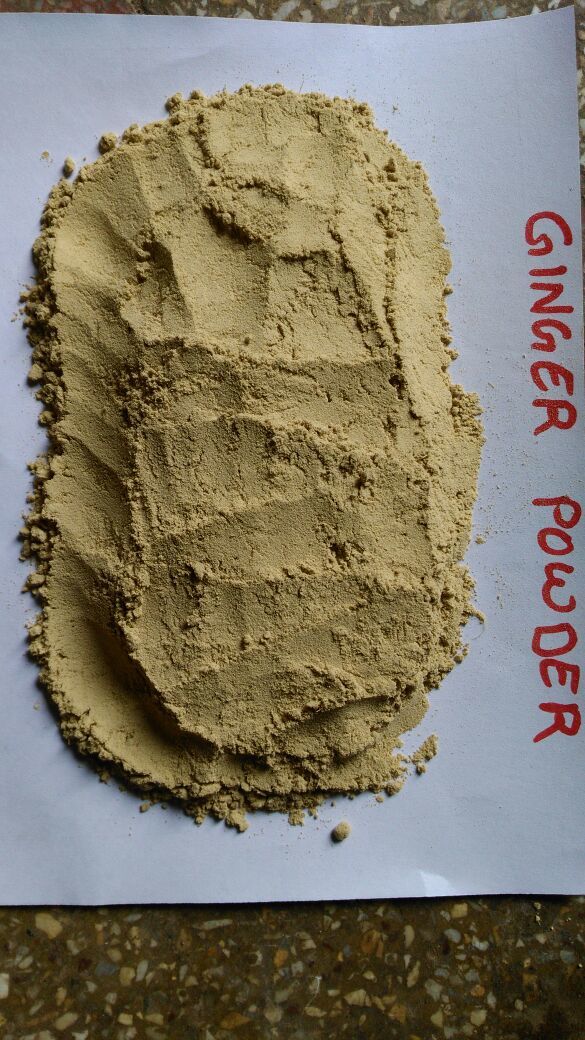 Dehydrated Ginger Powder - A Grade, 2 Years Shelf Life | Dried Raw Vegetable, Assured Trust Seal Certified, Normal Taste, 2-year Maturity