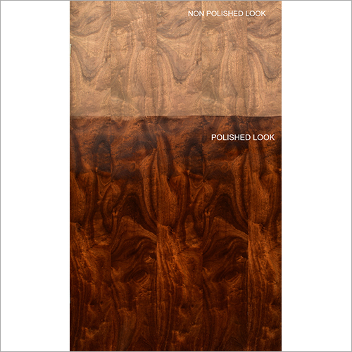 Monrovia Veneer Size: 8*4 Square Feet