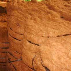 Coir Fibre
