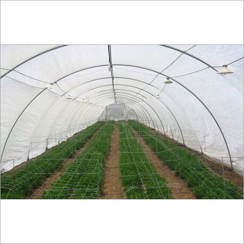 Insect Net Polyhouse All