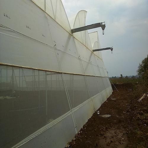 पॉलीहाउस फ़िल्म ऑल