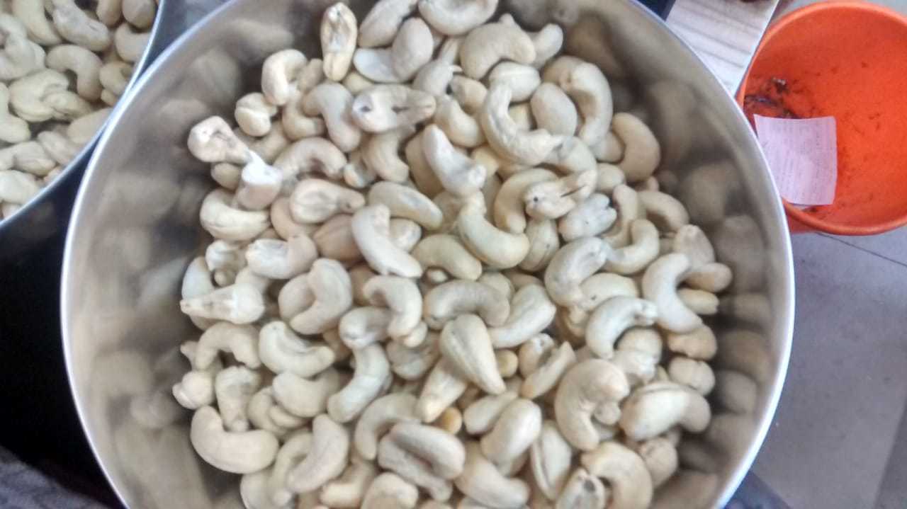 Cashew