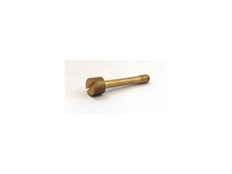 Natural Brass Sealing Screw