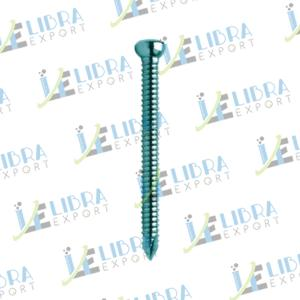 Gaam Nail Locking Bolt A 6 Mm (Self Tapping)