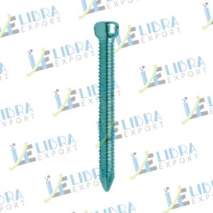 लॉकिंग बोल्ट, ए 6 मिमी (सेल्फ टैपिंग)