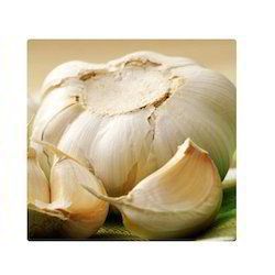Garlic Extract - 1% Allicin Content Powder | Solvent Extracted, Light Yellow Fine Powder in Aluminum Foil Bag
